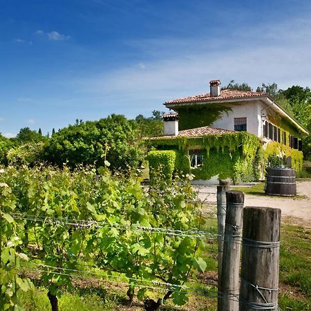 Agriturismo Tra Le Vigne Buttrio Extérieur photo