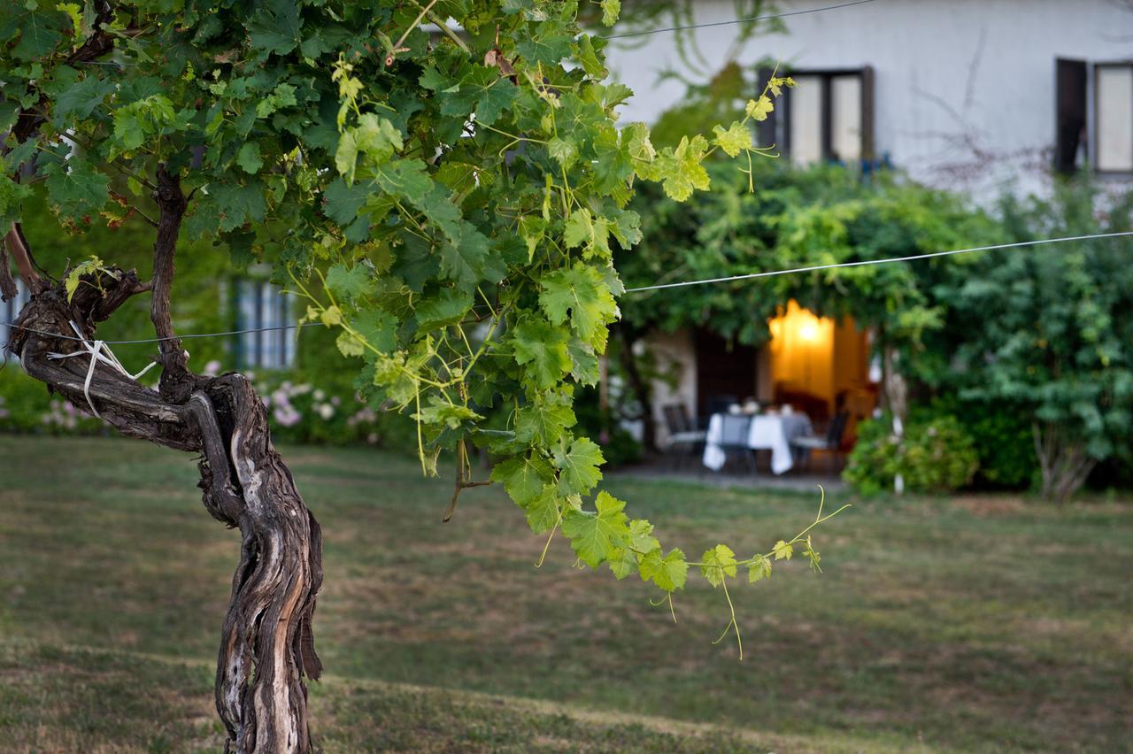 Agriturismo Tra Le Vigne Buttrio Extérieur photo