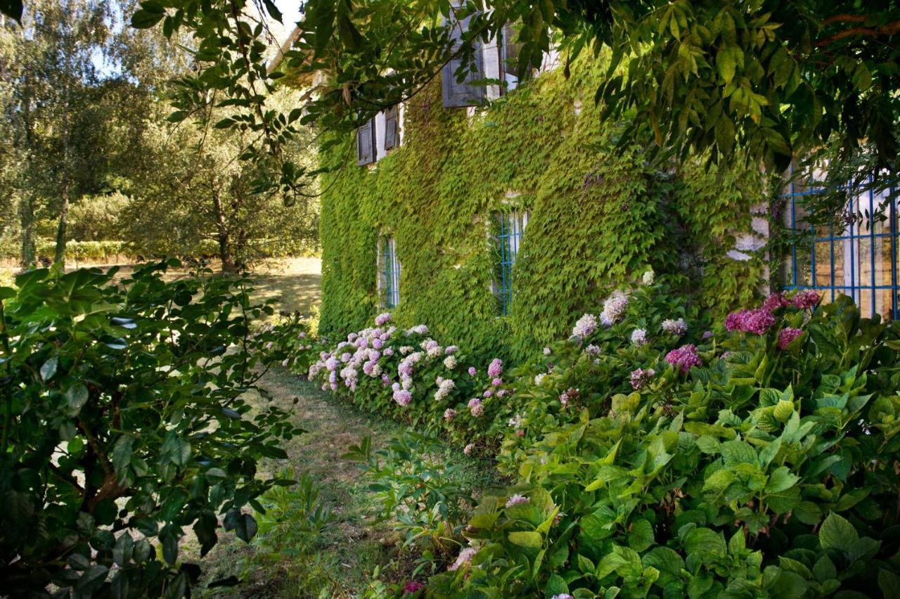 Agriturismo Tra Le Vigne Buttrio Extérieur photo