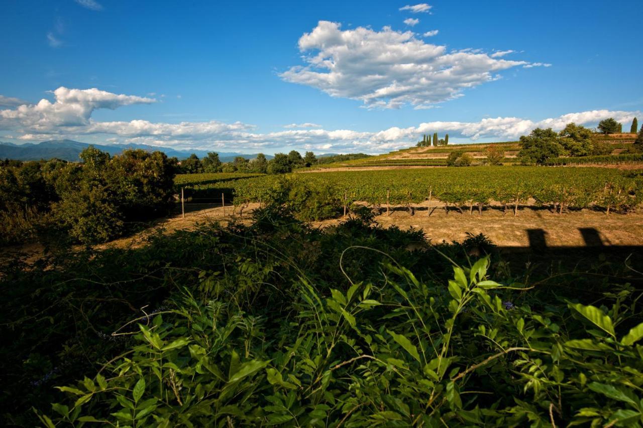 Agriturismo Tra Le Vigne Buttrio Extérieur photo