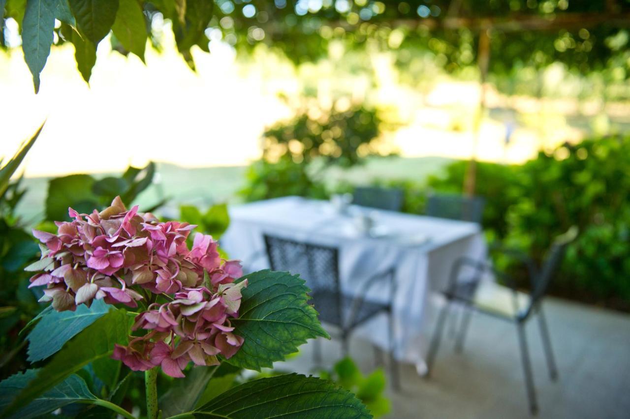 Agriturismo Tra Le Vigne Buttrio Extérieur photo