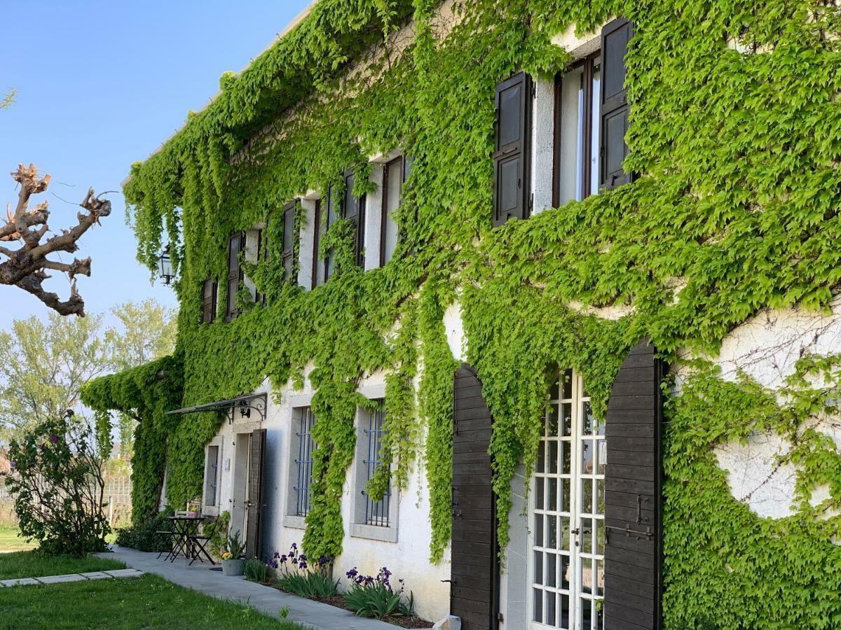 Agriturismo Tra Le Vigne Buttrio Extérieur photo